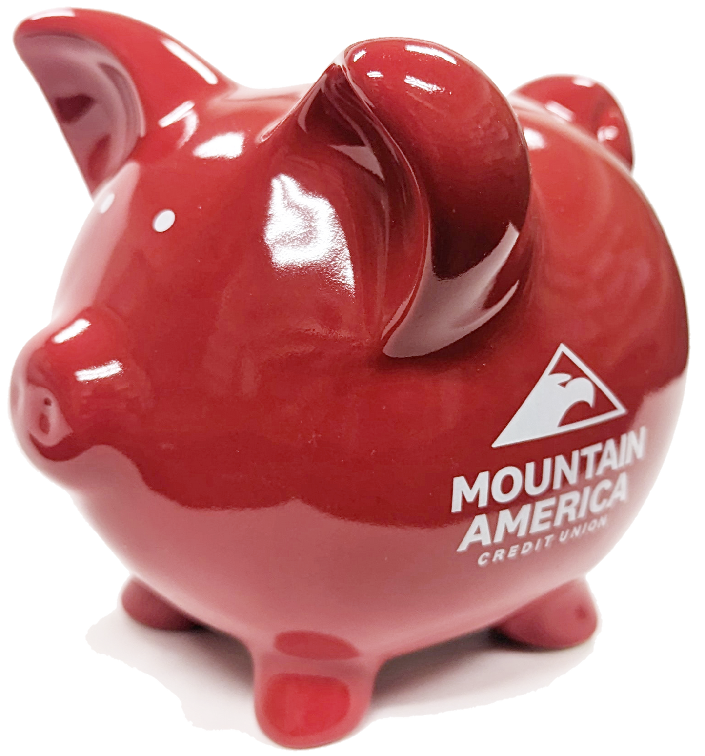Ceramic Piggy Bank