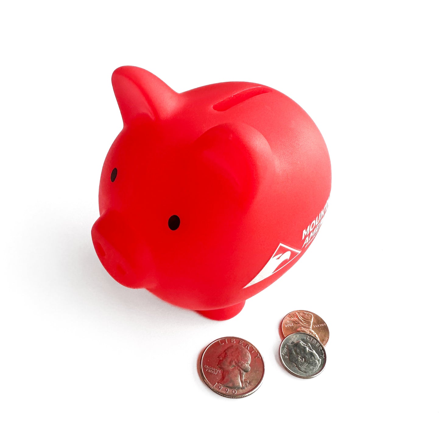 Small Piggy Bank (1 per order)