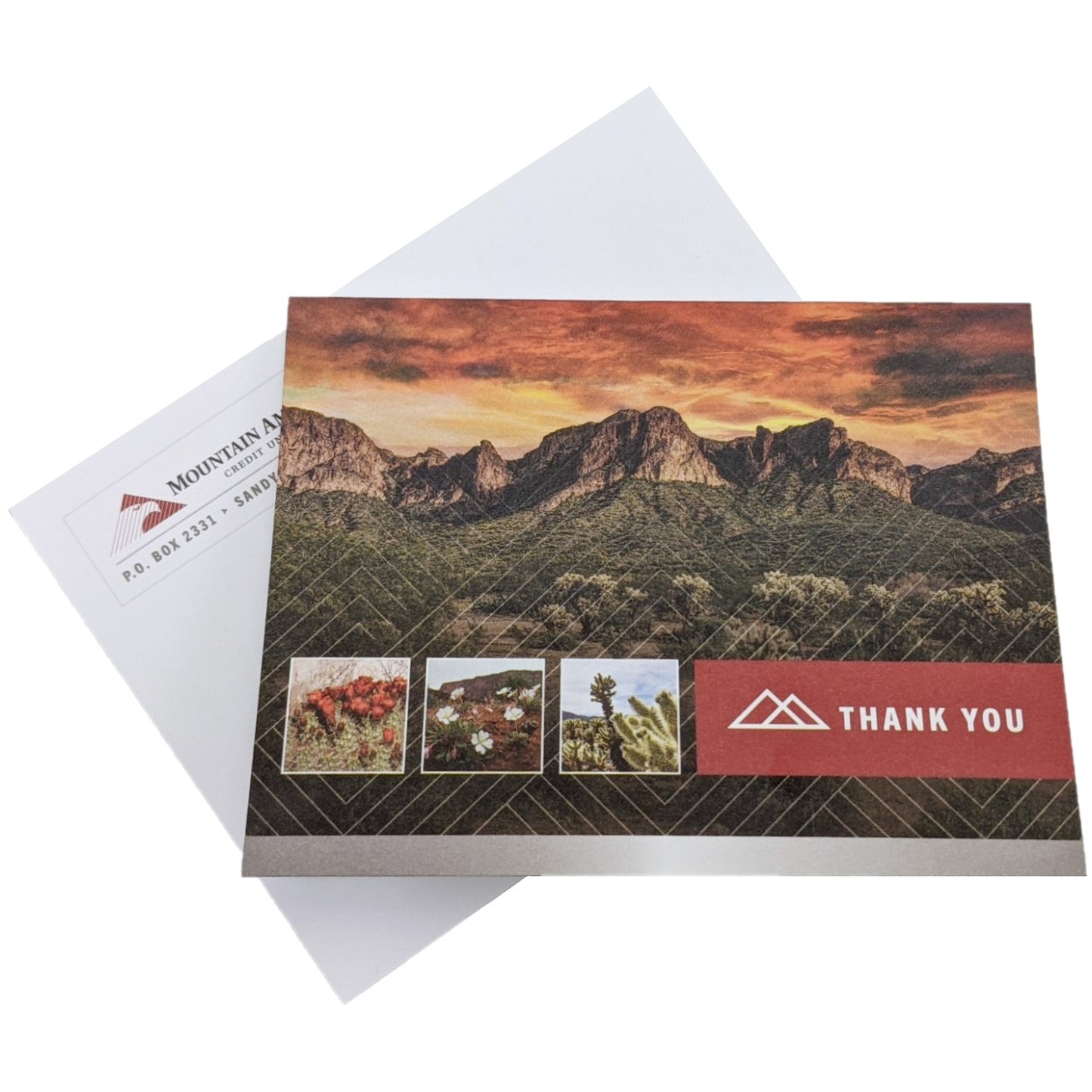 Thank You Cards (English) *MOVED TO MOO* Click Here for Link