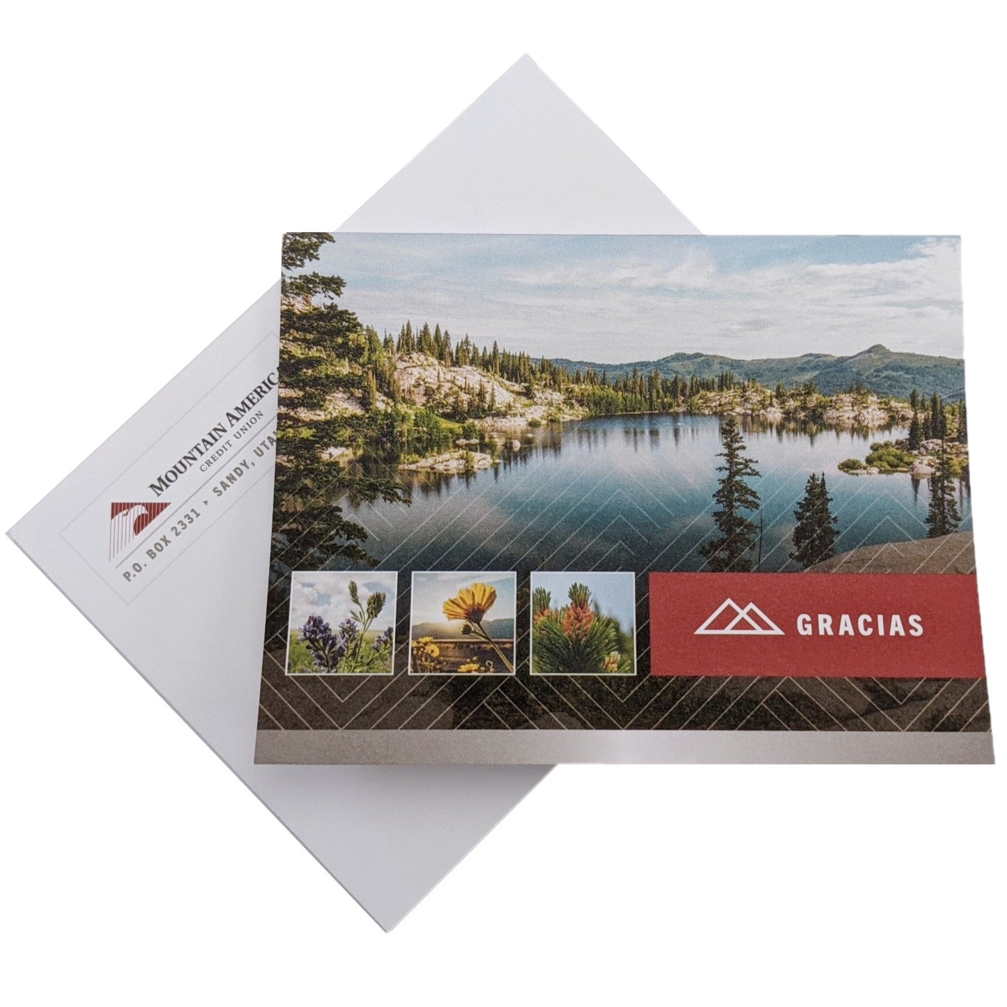 *BEING MOVED TO MOO* Thank You Cards (Spanish)