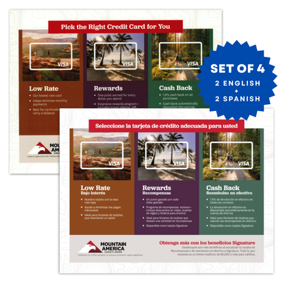 Credit Card Comparison Guide Placemat (set of 4)