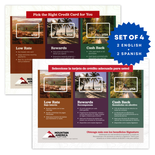 Credit Card Comparison Guide Placemat (set of 4)