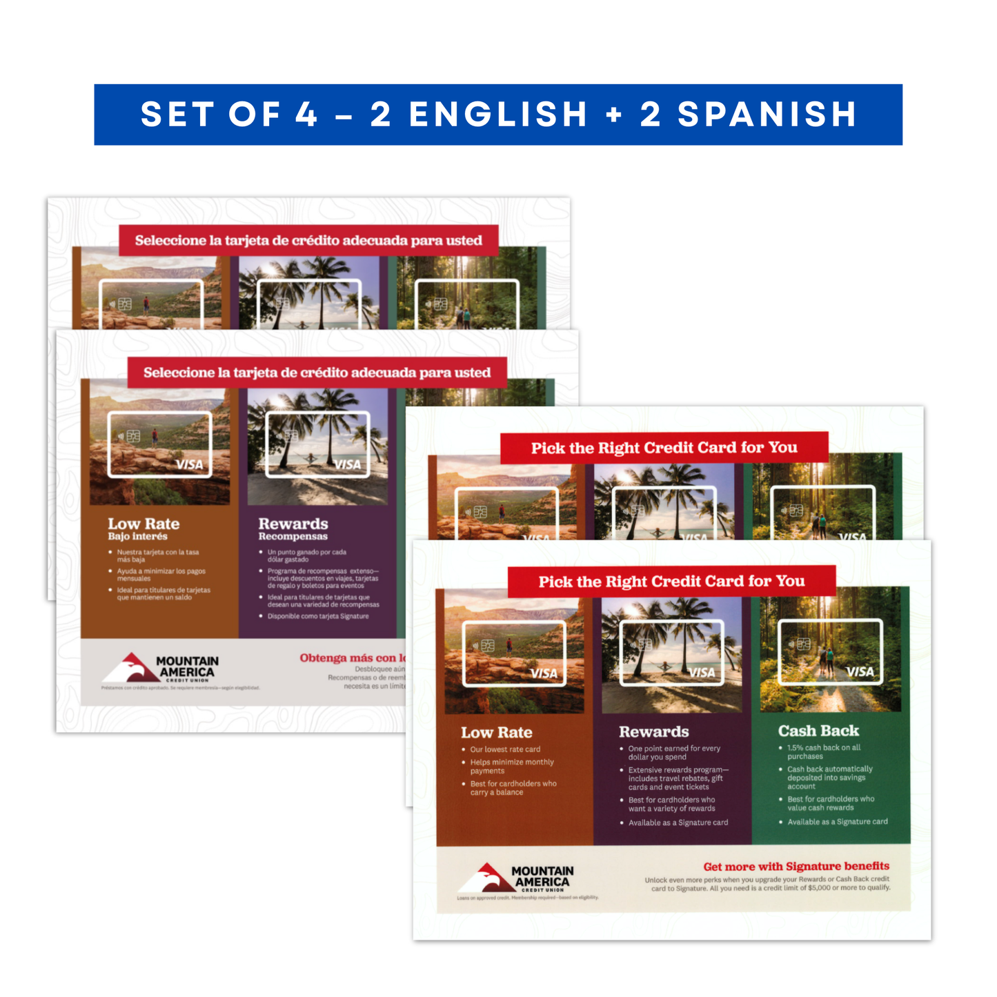 Credit Card Comparison Guide Placemat (set of 4)