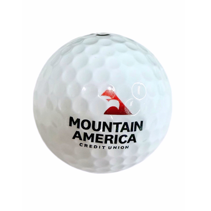Vice PRO White Golf Balls (1 sleeve)