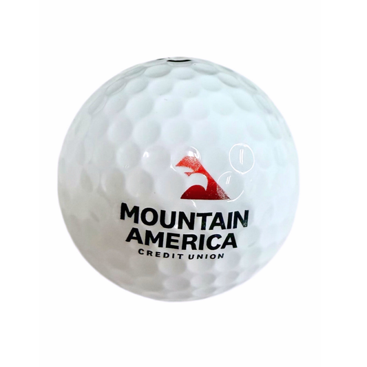 Vice PRO White Golf Balls (1 sleeve)