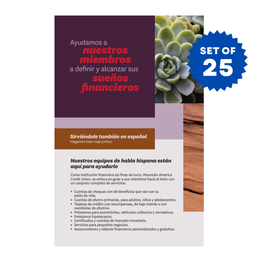 LEP Translation Initiative Flyer - Spanish (25/set)